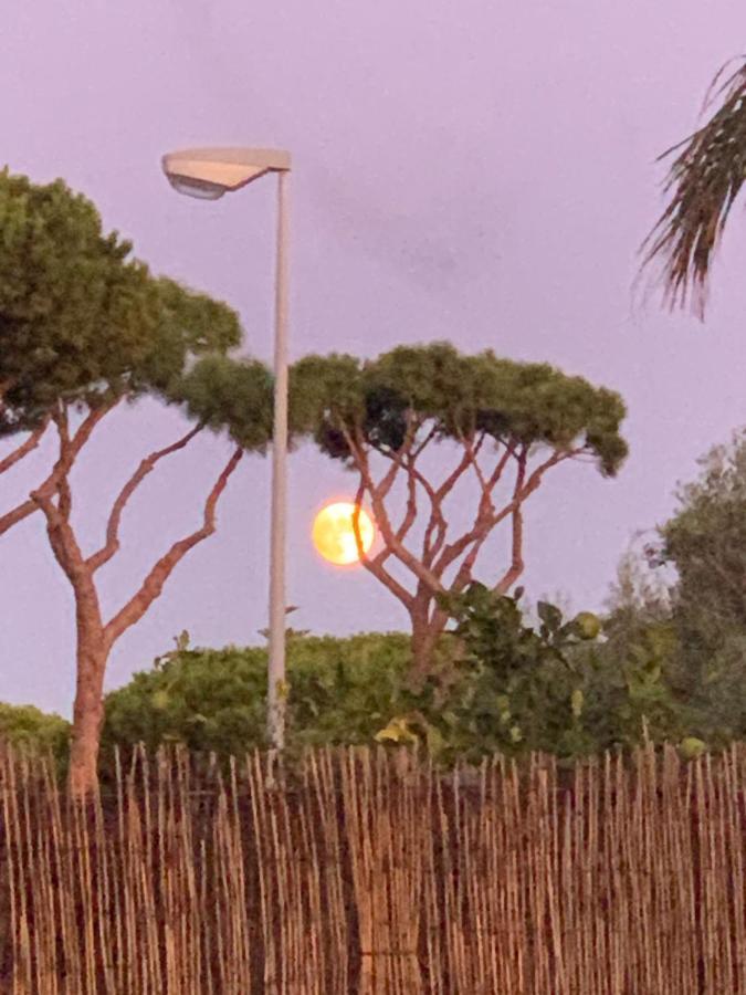 Chiclana Casa Maria Villa Chiclana de la Frontera Eksteriør billede